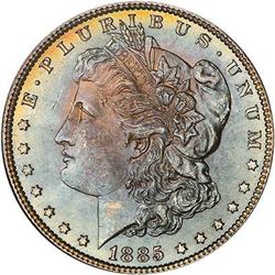 Lot 141 - Lot of Two Toned Battle Creek Morgans