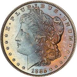 Lot 142 - Lot of Two Toned Battle Creek Morgans