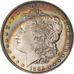 Lot 143 - Lot of Two Toned Battle Creek Morgans