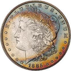 Lot 144 - Lot of Two Toned Battle Creek Morgans