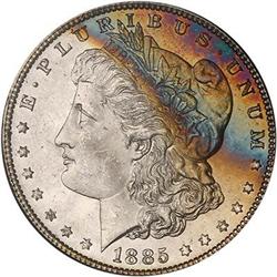 Lot 145 - Lot of Two Toned Battle Creek Morgans