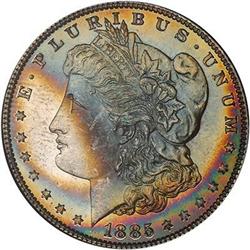 Lot 146 - Lot of Two Toned Battle Creek Morgans