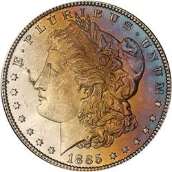 Lot 147 - Lot of Two Toned Battle Creek Morgans