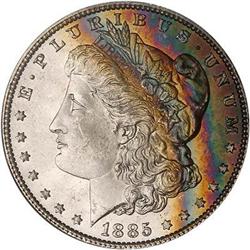 Lot 148 - Lot of Two Toned Battle Creek Morgans