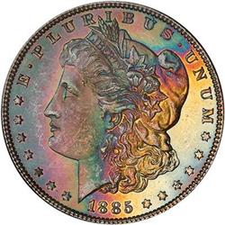 Lot 149 - Lot of Two Toned Battle Creek Morgans