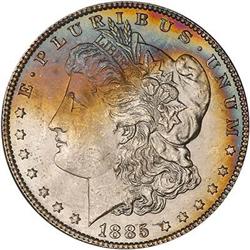 Lot 150 - Lot of Two Toned Battle Creek Morgans