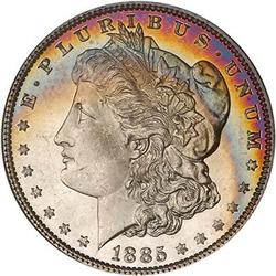 Lot 151 - Lot of Two Toned Battle Creek Morgans