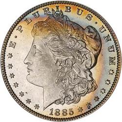 Lot 152 - Lot of Two Toned Battle Creek Morgans