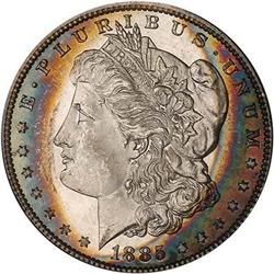 Lot 153 - Lot of Two Toned Battle Creek Morgans