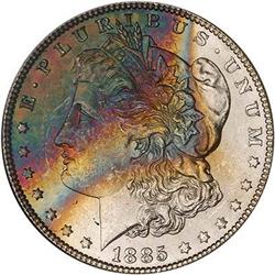Lot 154 - Lot of TwoToned BattleCreek Morgans
