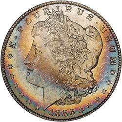 Lot 197 - Lot of Two Toned Battle Creek Morgans