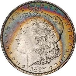 Lot 198 - Lot of Two Toned Battle Creek Morgans