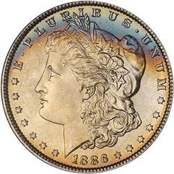 Lot 199 - Lot of Two Toned Battle Creek Morgans