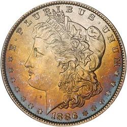 Lot 200 - Lot of Two Toned Battle Creek Morgans