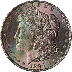Lot 201 - Lot of Two Toned Battle Creek Morgans