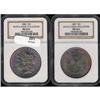 Image 3 : Lot 201 - Lot of Two Toned Battle Creek Morgans