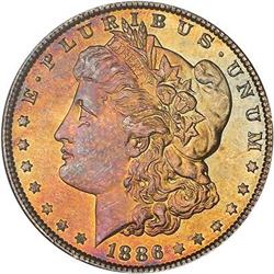 Lot 202 - Lot of Two Toned Battle Creek Morgans