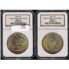 Image 3 : Lot 202 - Lot of Two Toned Battle Creek Morgans
