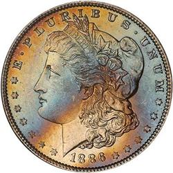 Lot 203 - Lot of Two Toned Battle Creek Morgans
