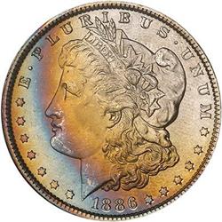Lot 204 - Lot of Two Toned Battle Creek Morgans