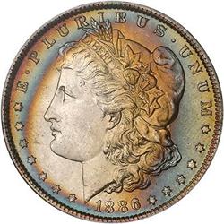 Lot 205 - Lot of Two Toned Battle Creek Morgans