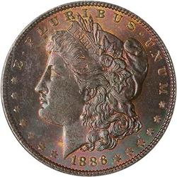 Lot 206 - Lot of Two Toned Battle Creek Morgans