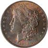 Lot 206 - Lot of Two Toned Battle Creek Morgans