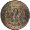 Image 2 : Lot 206 - Lot of Two Toned Battle Creek Morgans