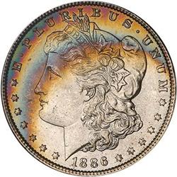 Lot 207 - Lot of Two Toned Battle Creek Morgans