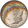 Lot 207 - Lot of Two Toned Battle Creek Morgans