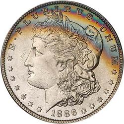 Lot 208 - Lot of Two Toned Battle Creek Morgans