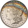 Lot 208 - Lot of Two Toned Battle Creek Morgans