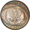 Image 2 : Lot 208 - Lot of Two Toned Battle Creek Morgans