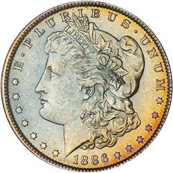 Lot 209 - Lot of Two Toned Battle Creek Morgans