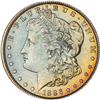 Lot 209 - Lot of Two Toned Battle Creek Morgans