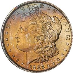 Lot 210 - Lot of Two Toned Battle Creek Morgans