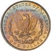 Image 2 : Lot 210 - Lot of Two Toned Battle Creek Morgans