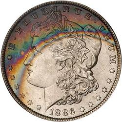 Lot 211 - Lot of Two Toned Battle Creek Morgans