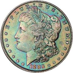 Lot 212 - Lot of Two Toned Battle Creek Morgans