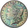 Lot 212 - Lot of Two Toned Battle Creek Morgans