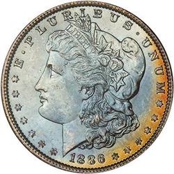 Lot 213 - Lot of Two Toned Battle Creek Morgans