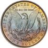 Image 2 : Lot 213 - Lot of Two Toned Battle Creek Morgans