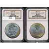 Image 3 : Lot 213 - Lot of Two Toned Battle Creek Morgans