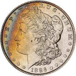 Lot 214 - Lot of Two Toned Battle Creek Morgans
