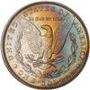 Image 2 : Lot 214 - Lot of Two Toned Battle Creek Morgans