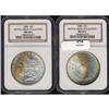 Image 3 : Lot 214 - Lot of Two Toned Battle Creek Morgans