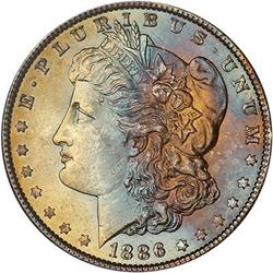 Lot 215 - Lot of Two Toned Battle Creek Morgans