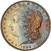 Lot 215 - Lot of Two Toned Battle Creek Morgans