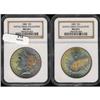 Image 3 : Lot 215 - Lot of Two Toned Battle Creek Morgans