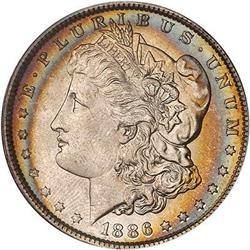 Lot 216 - Lot of Two Toned Battle Creek Morgans